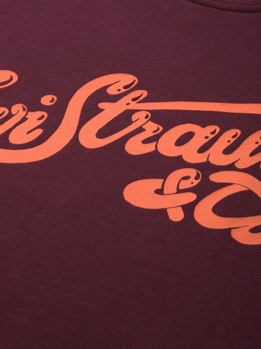 This is image description text